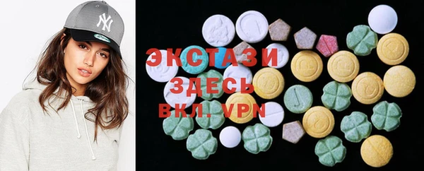 дживик Богородицк