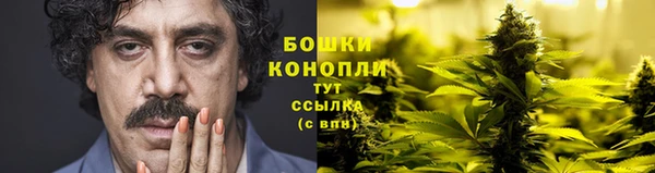 дживик Богородицк