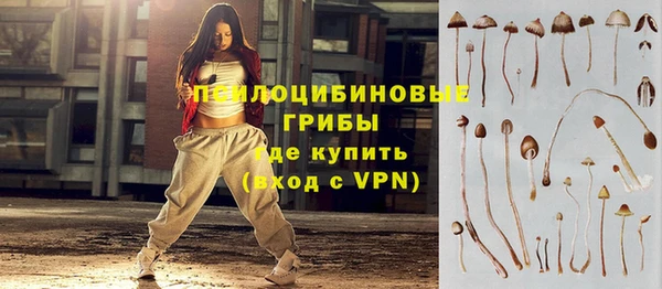 apvp Бронницы