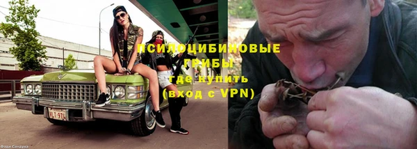 дживик Богородицк